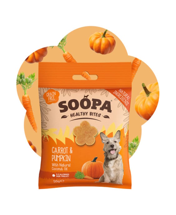 Morkų ir moliūgų skanėstai šunims, SOOPA