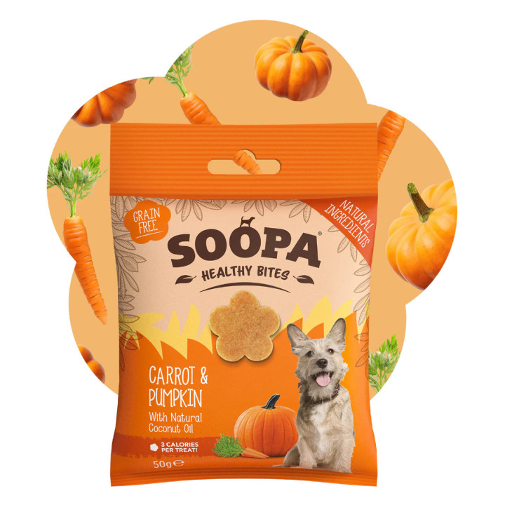 Morkų ir moliūgų skanėstai šunims, SOOPA
