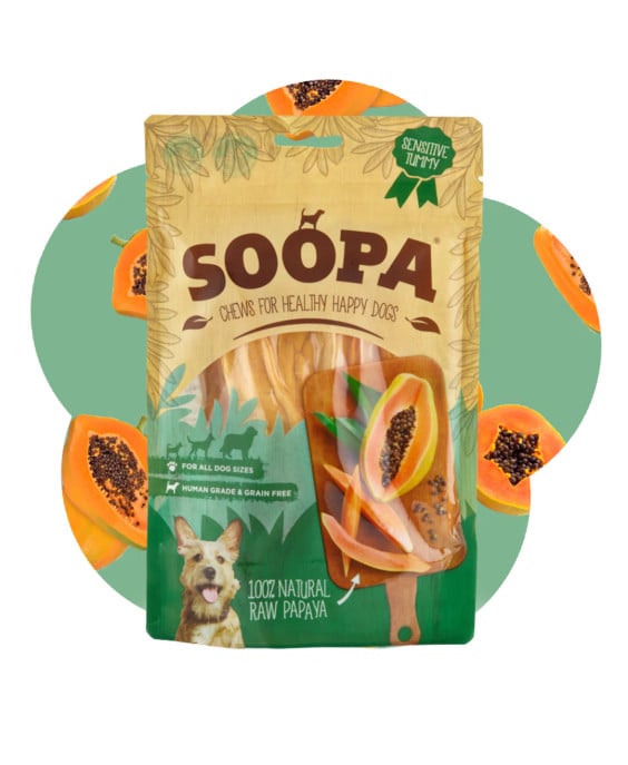 Šunų kramtukai — papajų, virškinimui & imuninei sistemai | SOOPA