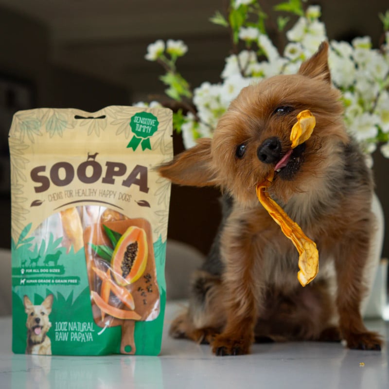 Šunų kramtukai — papajų, virškinimui & imuninei sistemai | SOOPA