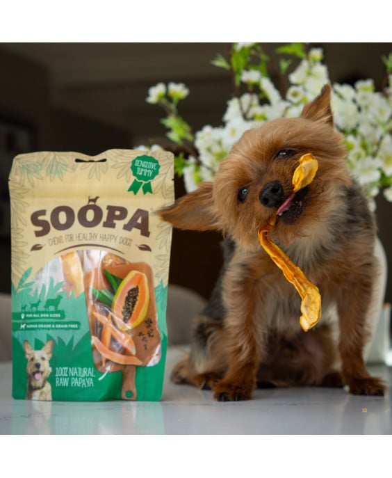 Šunų kramtukai — papajų, virškinimui & imuninei sistemai | SOOPA