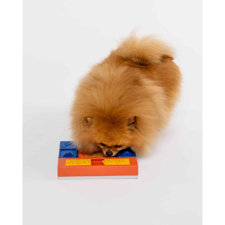 Pawzler interaktyvus lavinamasis galvosūkis šunims Beginner Set
