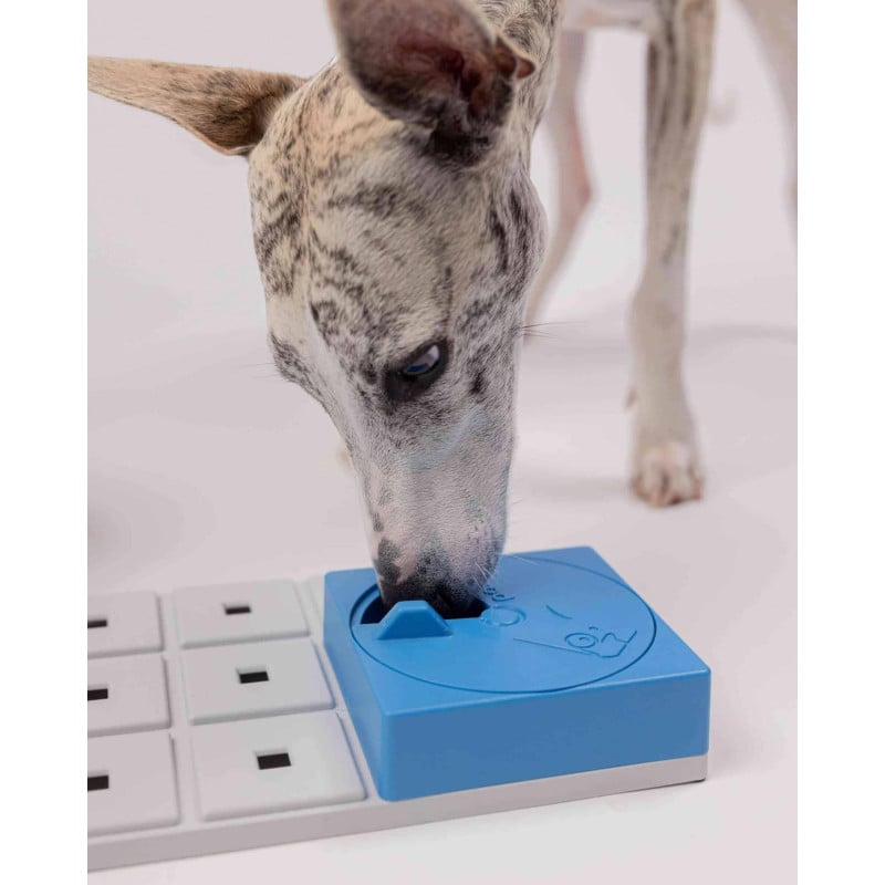 Pawzler Oli papildoma galvosūkio detalė šunims | Kramtau.lt