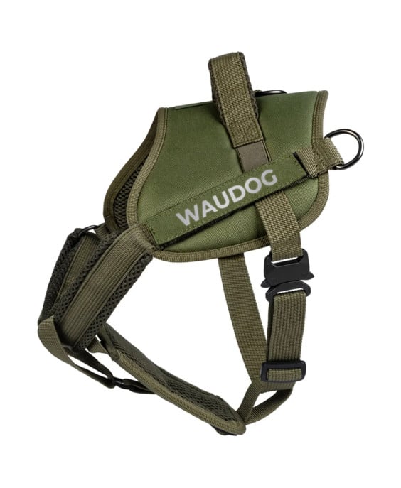 Atšvaitinės petnešos šunims su metaline sagtimi – WAUDOG PRO-2