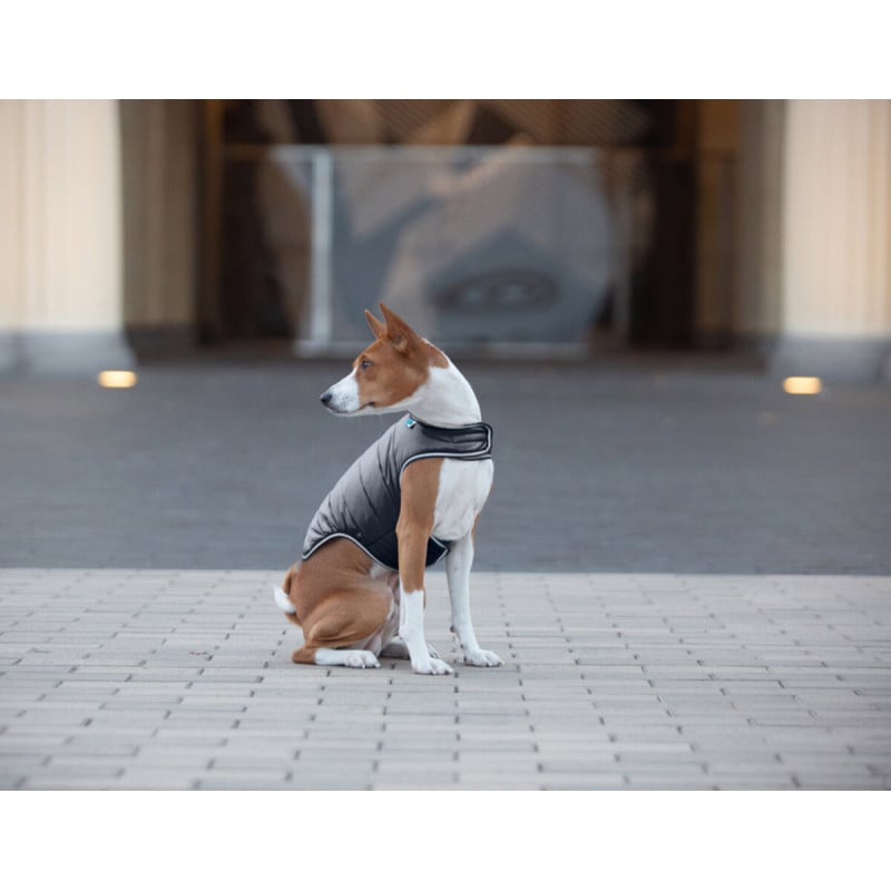 AiryVest Flesh paltukas šuniui, juodas (S-L) | Kramtau.lt