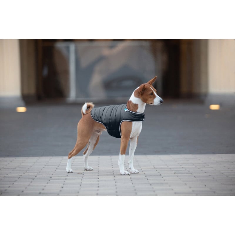 AiryVest Flesh paltukas šuniui, juodas (S-L) | Kramtau.lt