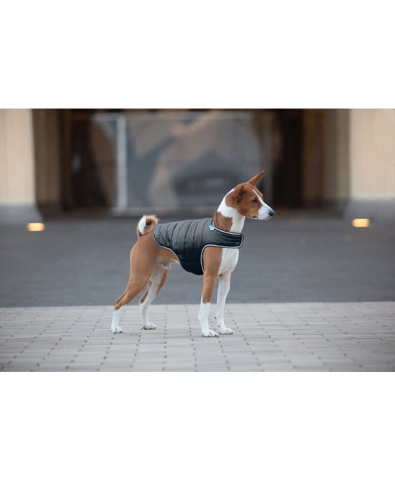 AiryVest Flesh paltukas šuniui, juodas (S-L) | Kramtau.lt