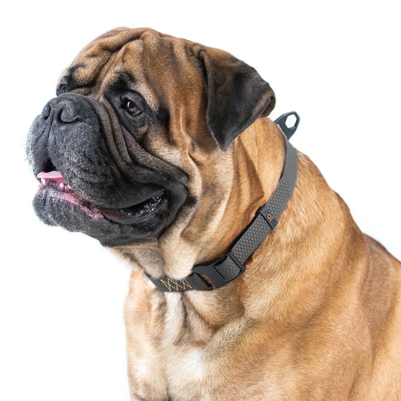 WAUDOG EVOLUTOR antkaklis šuniui, juodas | Kramtau.lt