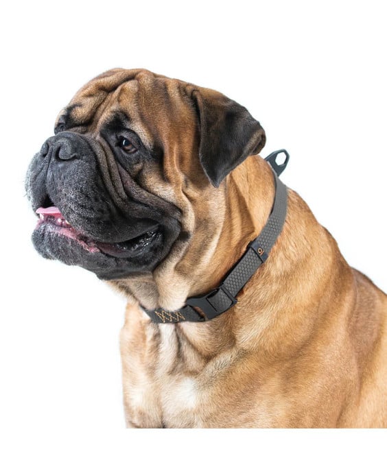 WAUDOG EVOLUTOR antkaklis šuniui, juodas | Kramtau.lt