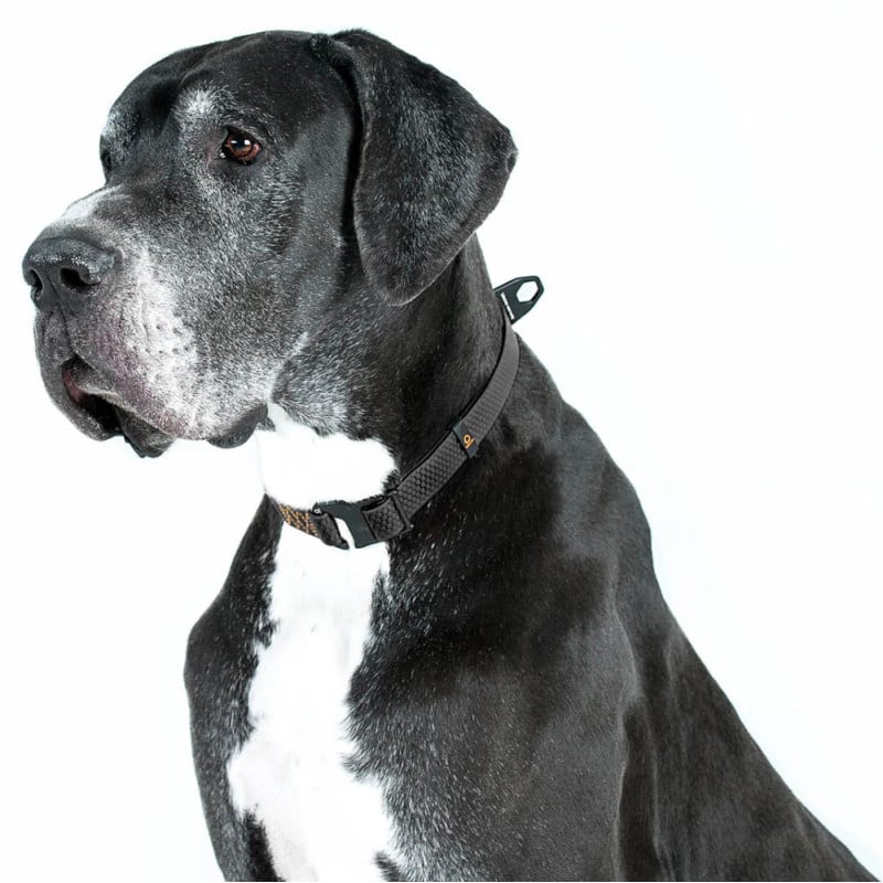 WAUDOG EVOLUTOR antkaklis šuniui, juodas | Kramtau.lt