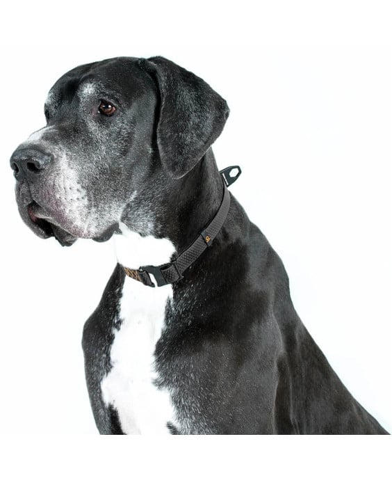 WAUDOG EVOLUTOR antkaklis šuniui, juodas | Kramtau.lt