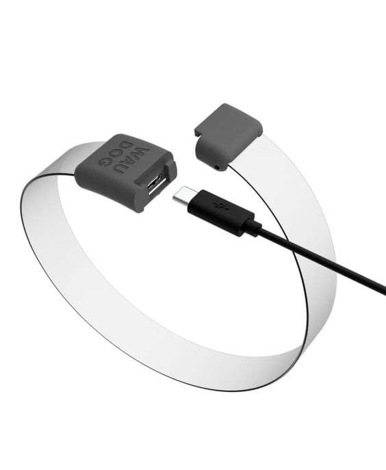 WAUDOG LED RGB antkaklis šuniui | Kramtau.lt