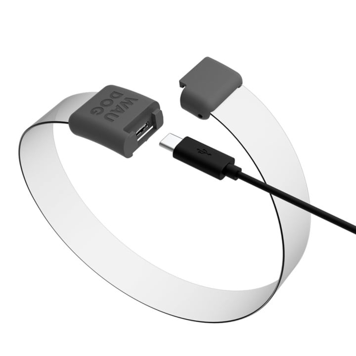 WAUDOG LED RGB antkaklis šuniui | Kramtau.lt