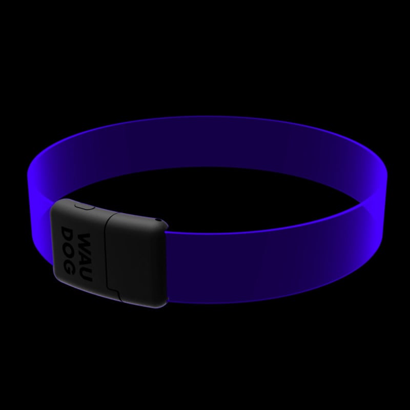 WAUDOG LED RGB antkaklis šuniui | Kramtau.lt