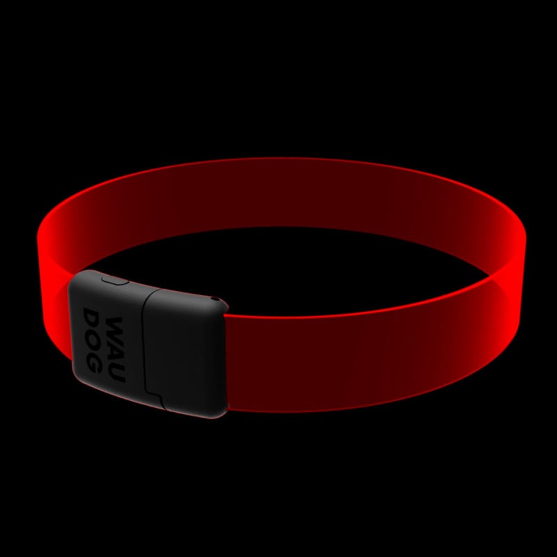 WAUDOG LED RGB antkaklis šuniui | Kramtau.lt