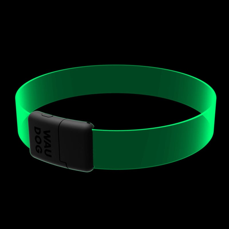 WAUDOG LED RGB antkaklis šuniui | Kramtau.lt
