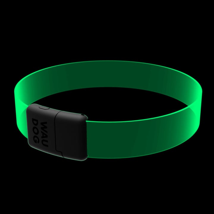 WAUDOG LED RGB antkaklis šuniui | Kramtau.lt
