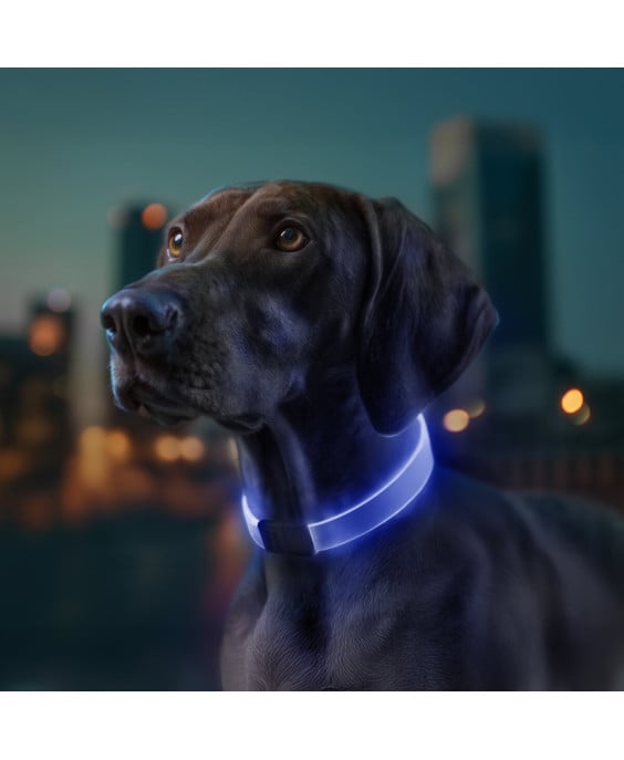 WAUDOG LED RGB antkaklis šuniui | Kramtau.lt
