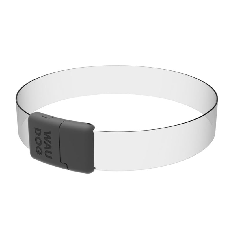 WAUDOG LED RGB antkaklis šuniui | Kramtau.lt