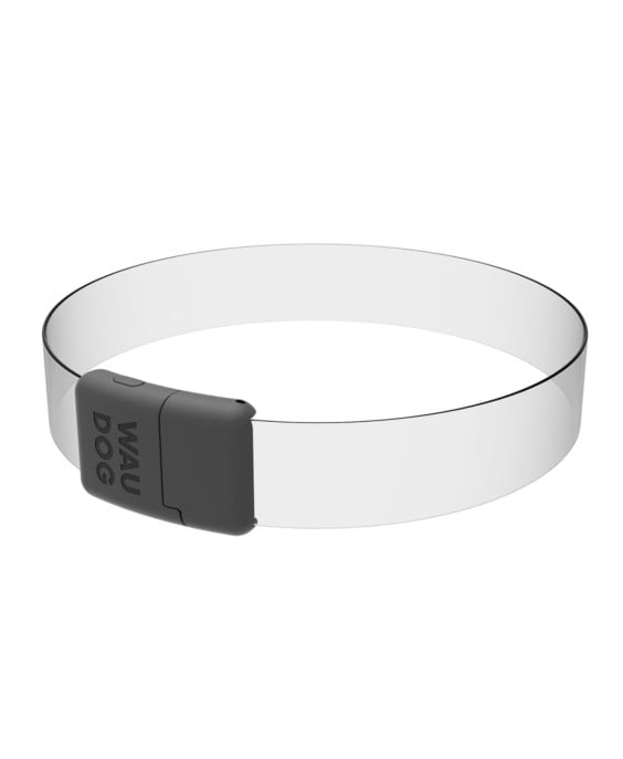 WAUDOG LED RGB antkaklis šuniui | Kramtau.lt