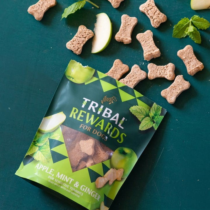 Skanėstai šunims su obuoliais, mėta ir imbieru „Apple, Mint & Ginger“ TRIBAL, 125g