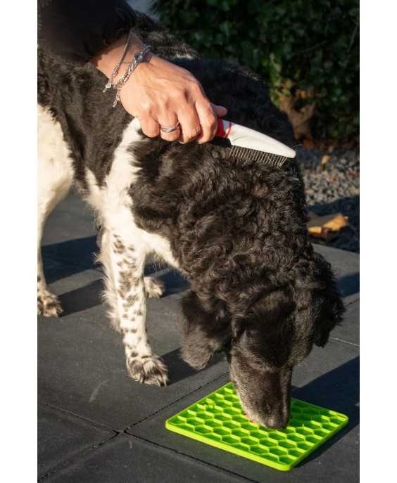 Laižymo kilimėlis šunims „Fun & Relax Lick Mat“, žalias, Eat Slow Live Longer