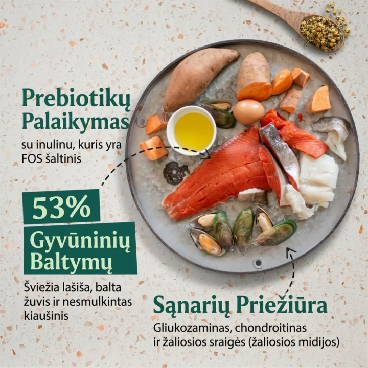 Šalto spaudimo maistas šunims su lašiša – Tribal | Kramtau.lt