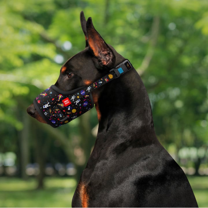 WAUDOG Nylon antsnukis su NASA raštu ant dobermano