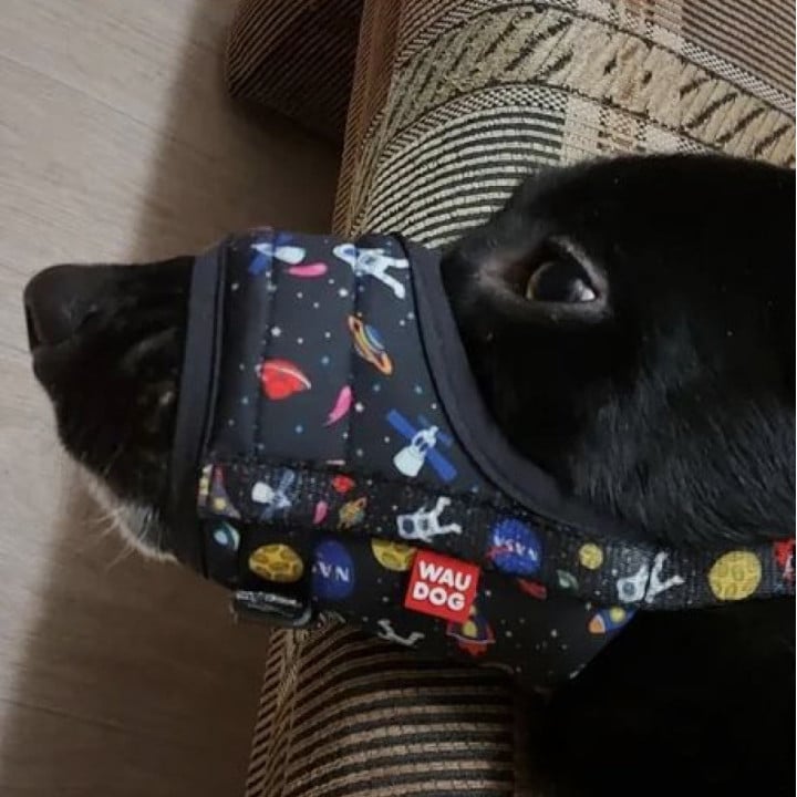 WAUDOG Nylon antsnukis šuniui, NASA raštas, šoninis vaizdas
