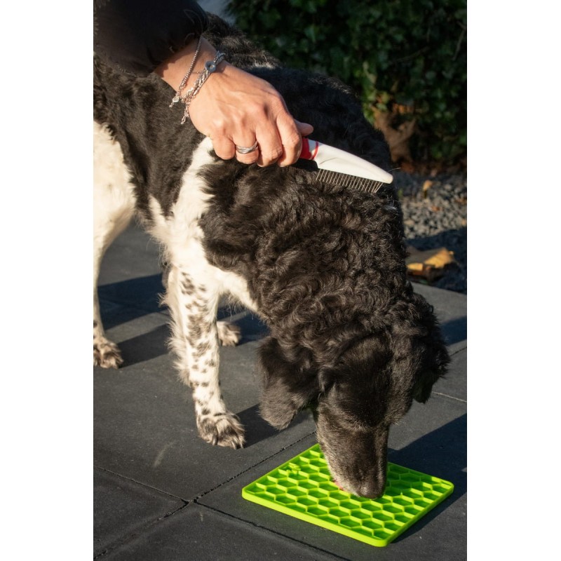 Laižymo kilimėlis šunims „Fun & Relax Lick Mat“, raudonas