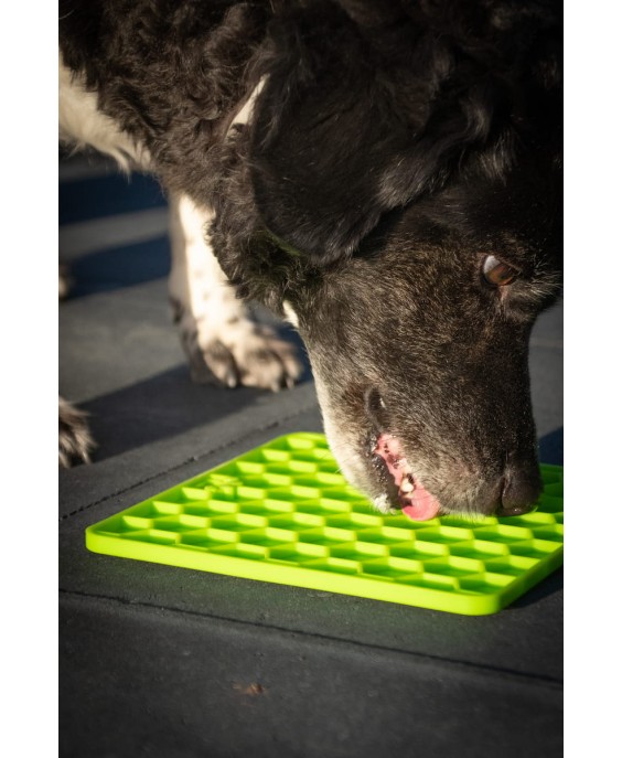 Laižymo kilimėlis šunims „Fun & Relax Lick Mat“, rožinis