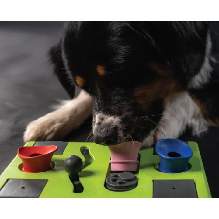 Šunų skanėstų galvosūkis „Puzzle Rectangle“, Eat Slow Live Longer
