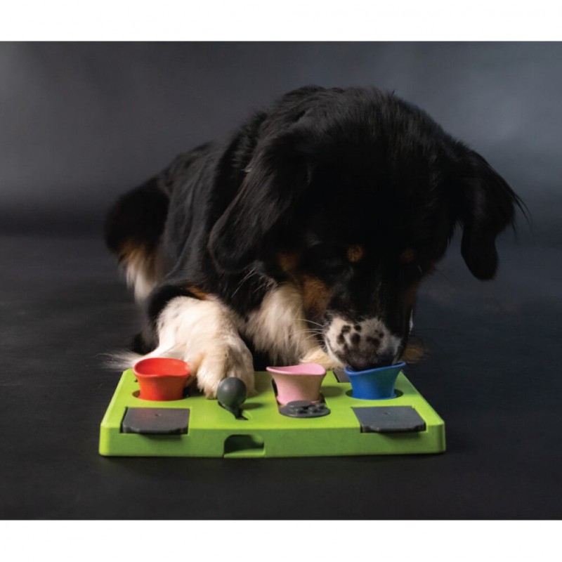 Šunų skanėstų galvosūkis „Puzzle Rectangle“, Eat Slow Live Longer