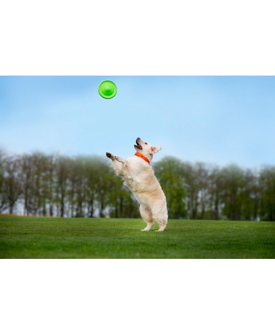 Dvipusis skraidantis diskas šunims FLYBER Flying