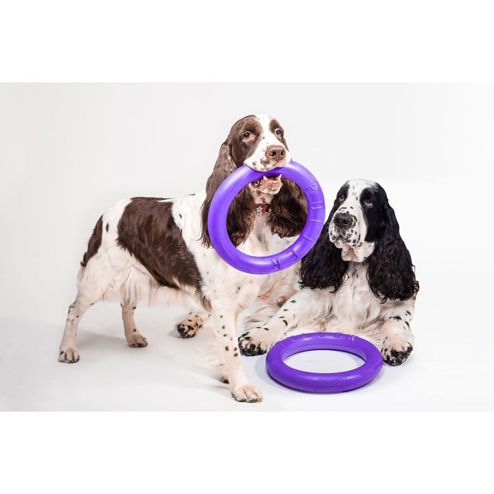Žaislas - mankštos priemonė šunims PULLER Standard 28 cm