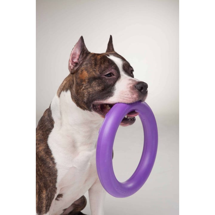 Žaislas - mankštos priemonė šunims PULLER Standard 28 cm