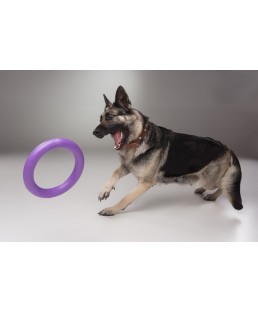 Žaislas - mankštos priemonė šunims PULLER Standard 28 cm
