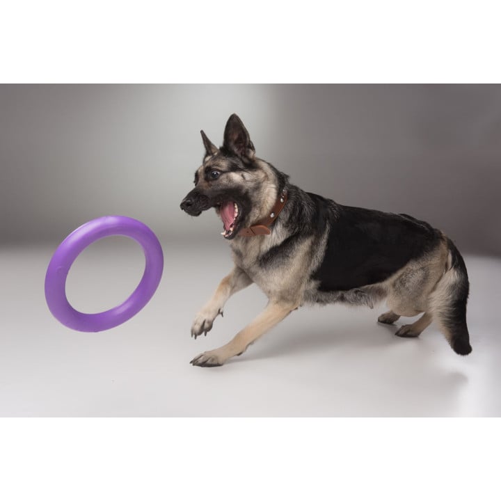 Žaislas - mankštos priemonė šunims PULLER Standard 28 cm