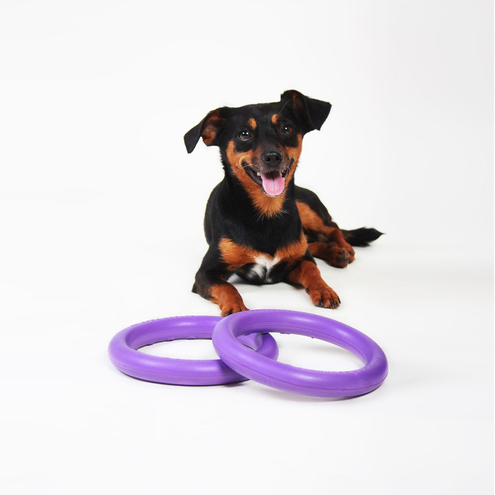 Žaislas - mankštos priemonė šunims PULLER Mini 18 cm