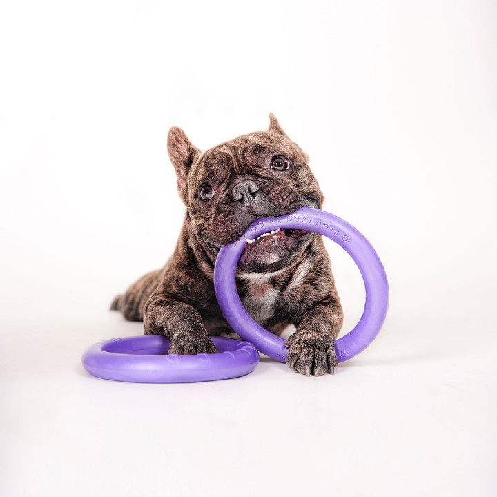 Žaislas - mankštos priemonė šunims PULLER Mini 18 cm