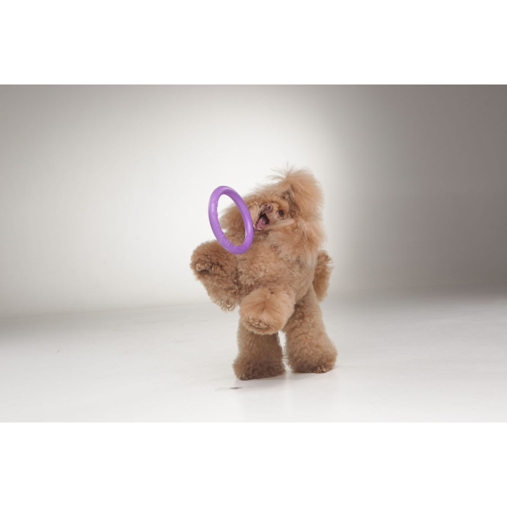 Žaislas - mankštos priemonė šunims PULLER Mini 18 cm