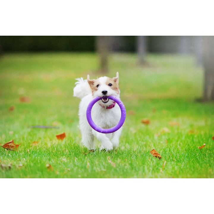 Žaislas - mankštos priemonė šunims PULLER Mini 18 cm
