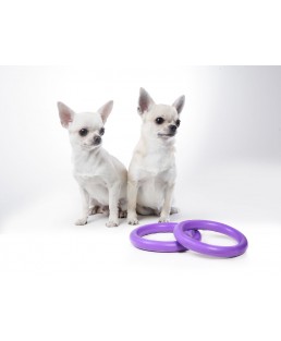 Žaislas - mankštos priemonė šunims PULLER Micro 12,5 cm