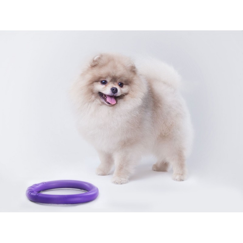 Žaislas - mankštos priemonė šunims PULLER Micro 12,5 cm