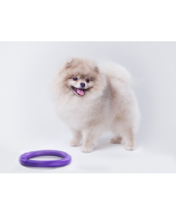 Žaislas - mankštos priemonė šunims PULLER Micro 12,5 cm