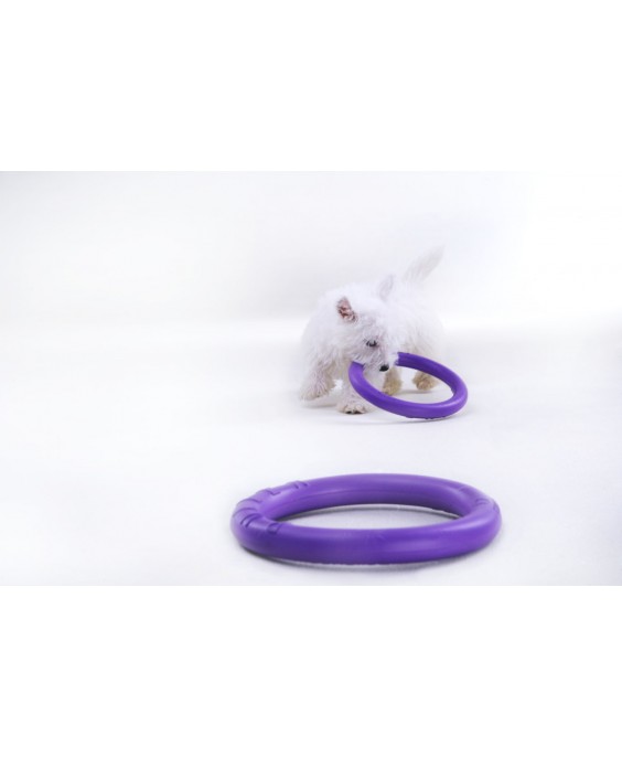 Žaislas - mankštos priemonė šunims PULLER Micro 12,5 cm