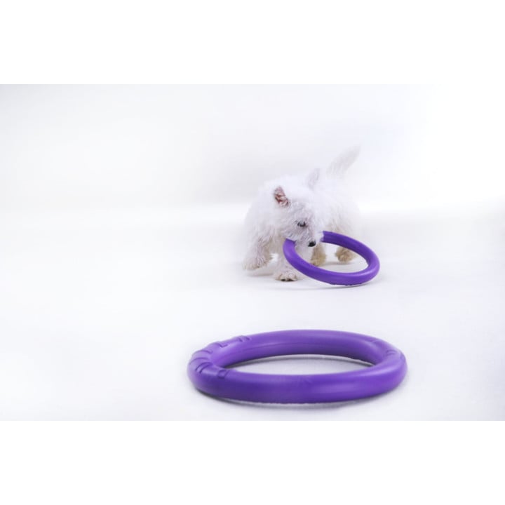 Žaislas - mankštos priemonė šunims PULLER Micro 12,5 cm