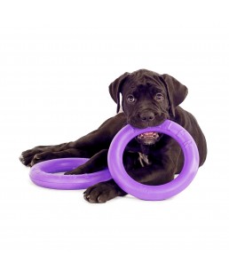 Žaislas - mankštos priemonė šunims PULLER Midi 20 cm
