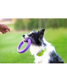 Žaislas - mankštos priemonė šunims PULLER Midi 20 cm