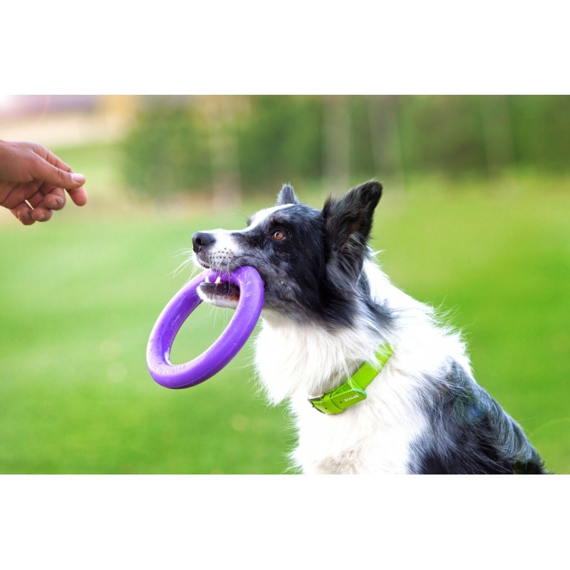 Žaislas - mankštos priemonė šunims PULLER Midi 20 cm